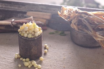 Cu-nen-Vietnamese-ingredients-porfolio-egret-grass-food-stylist