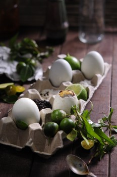 Hot-vit-lon-Vietnamese-ingredients-porfolio-egret-grass-food-stylist