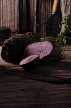 Khoai-mo-Vietnamese-ingredients-porfolio-egret-grass-food-stylist