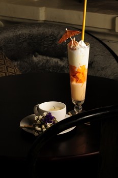 Mango-parfait-Our food is exactly what our  menu providesporfolio-egret-grass-food-stylist