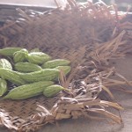 Muop-dang-Vietnamese-ingredients-porfolio-egret-grass-food-stylist
