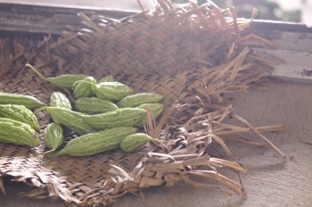 Muop-dang-Vietnamese-ingredients-porfolio-egret-grass-food-stylist