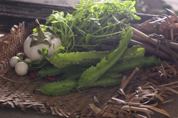 dau-rong-Vietnamese-ingredients-porfolio-egret-grass-food-stylist