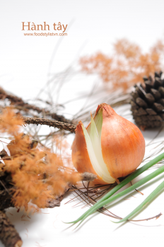 hanh-tay-onion-Auntumn-mood-porfolio-egret-grass-food-stylist