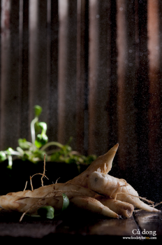 cu-dong-Vietnamese-ingredients-porfolio-egret-grass-food-stylist
