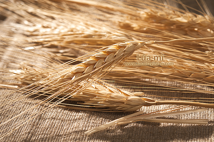 Lúa mì - Food styling: Egret Grass - Photograph by: Rong Vang